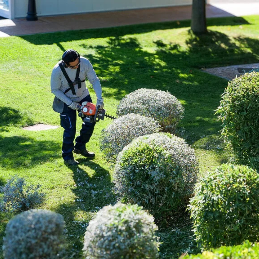 Servicio de Jardinería Profesional