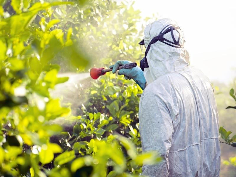 Control de plagas y tratamientos fitosanitarios
