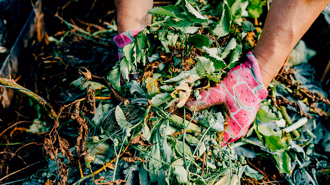 Gestión de residuos vegetales en Ontinyent
